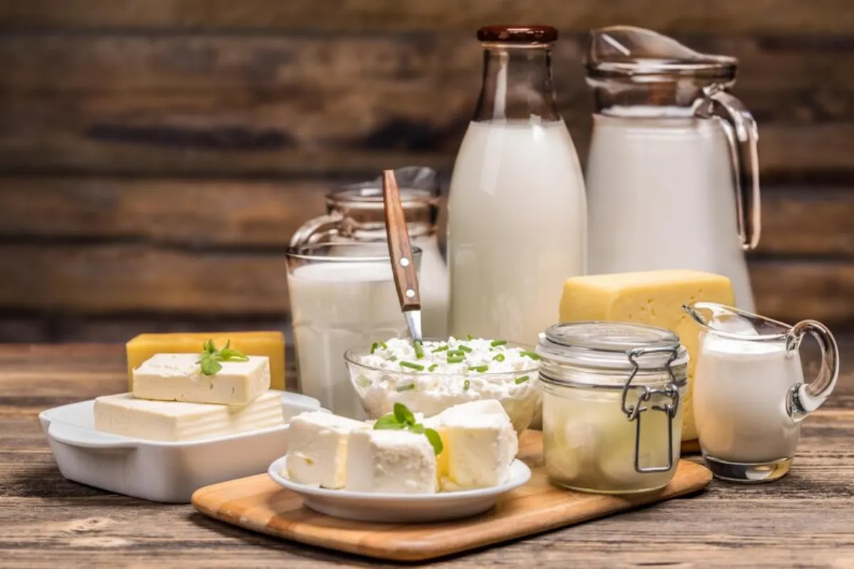 رژیم غذایی بدون لبنیات-فواید رژیم بدون لبنیات-فراتن