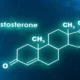 راه های افزایش تستوسترون در مردان | 10 روش مطمئن