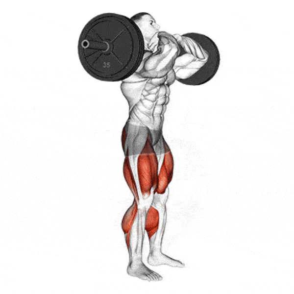 اجرای صحیح اسکوات هالتر از جلو-آموزش اسکات هالتر ایستاده-فراتن بهترین سایت آموزش حرکات بدنسازی-فراتن بهترین و معتبر ترین فروشگاه مکمل بدنسازی