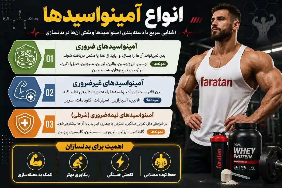 انواع آمینو اسید ها-آمینو اسید چیست-فراتن فروشگاه مکمل بدنسازی