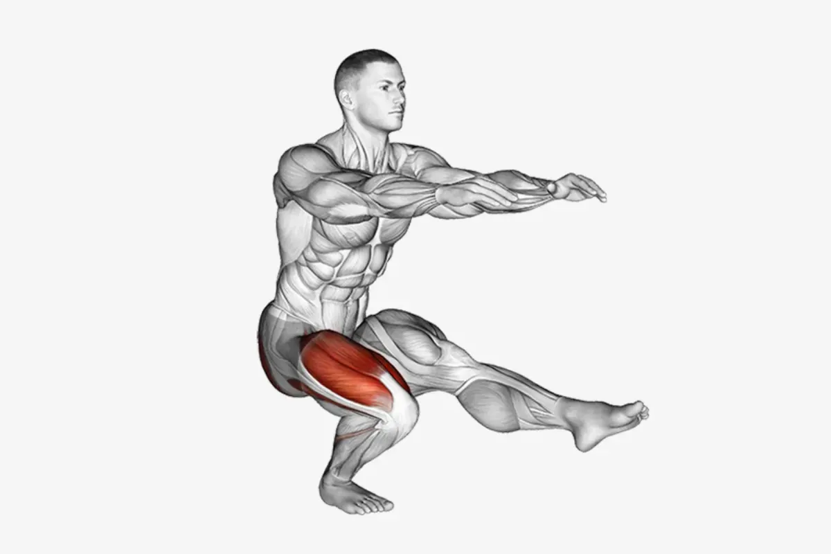 اجرای صحیح پیستول اسکوات-آموزش پیستول اسکات-مرجع تخصصی مکمل بدنسازی فراتن