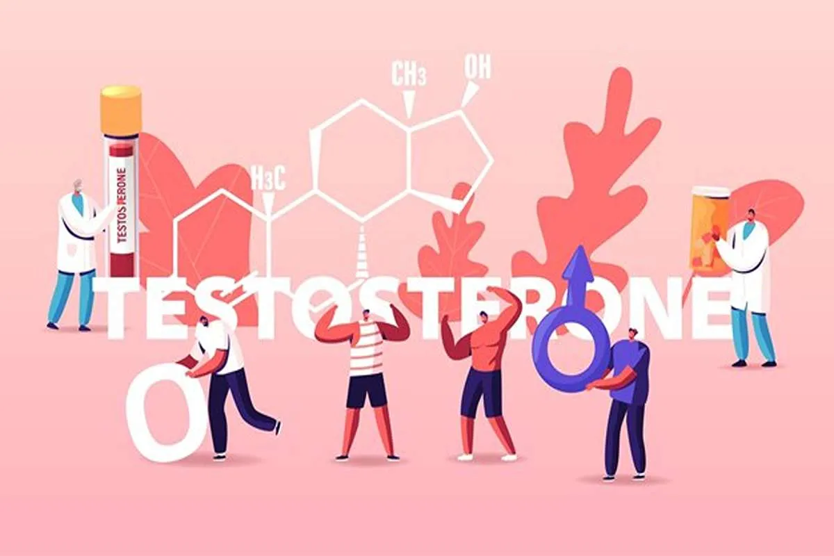 بهترین ورزش برای افزایش تستوسترون-فراتن