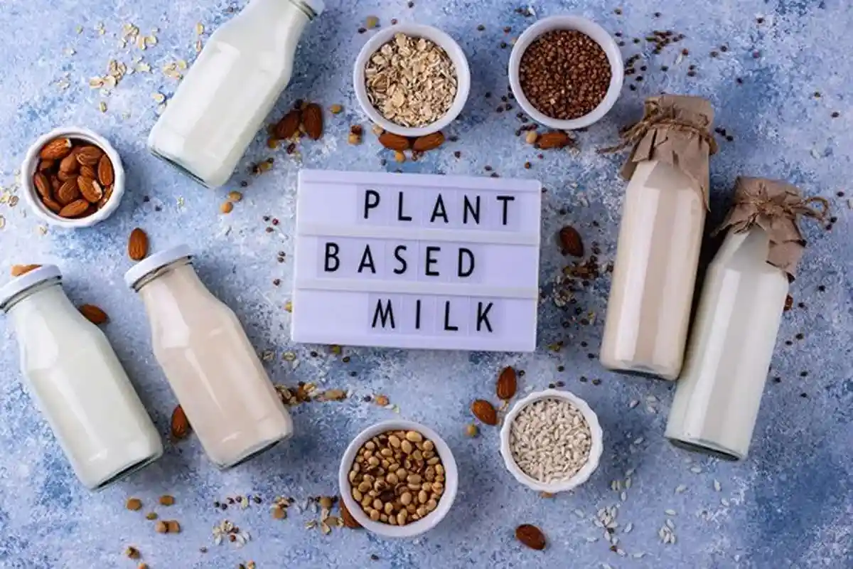 جایگزین ماست-جایگزین لبنیات-فراتن