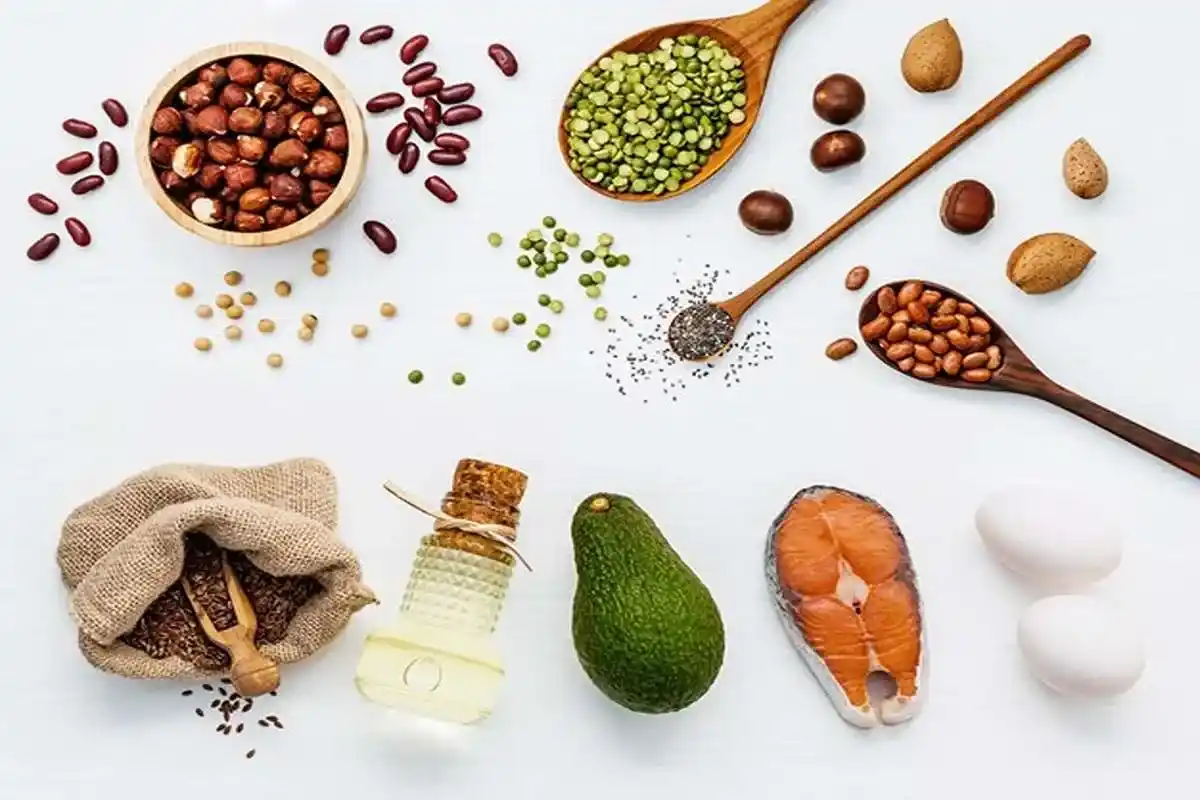 پروتئین گیاهی جایگزین گوشت-پروتئین گیاهی یا پروتئین حیوانی؟-فراتن