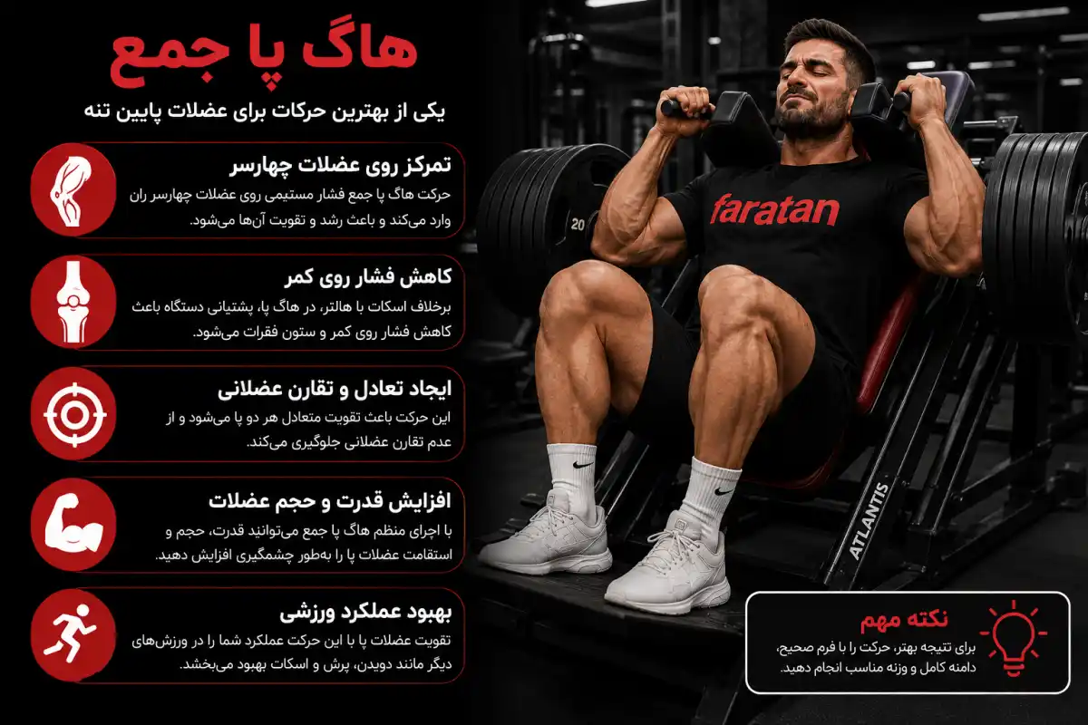 هاگ پا جمع-هاگ پا-فراتن
