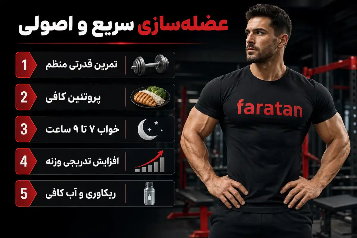 عضله سازی سریع در بدنسازی-فراتن مرکز تخصصی فروش مکمل بدنسازی