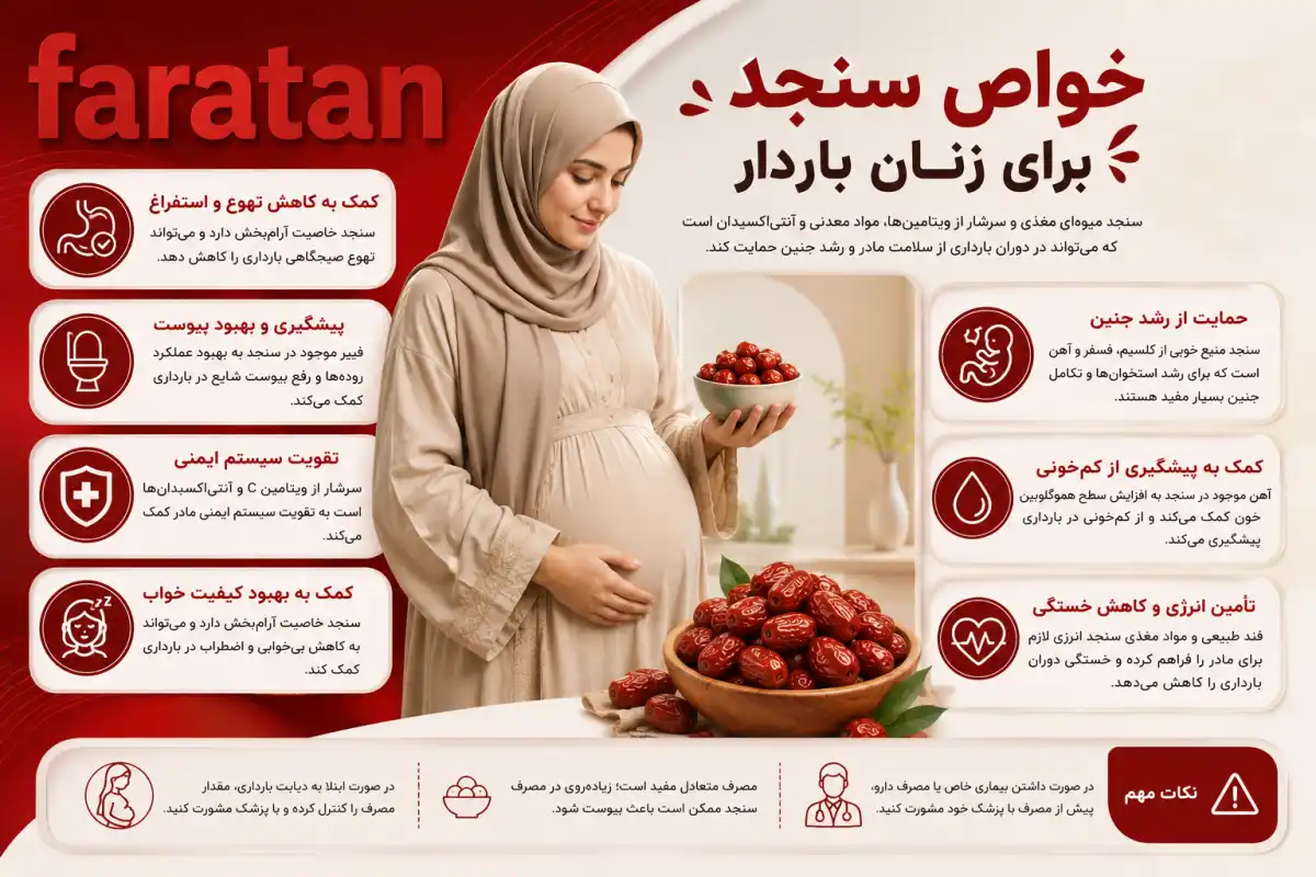 خواص سنجد برای زنان باردار-فواید سنجد برای بانوان باردار-خواص سنجد برای زنان شیر ده-فراتن