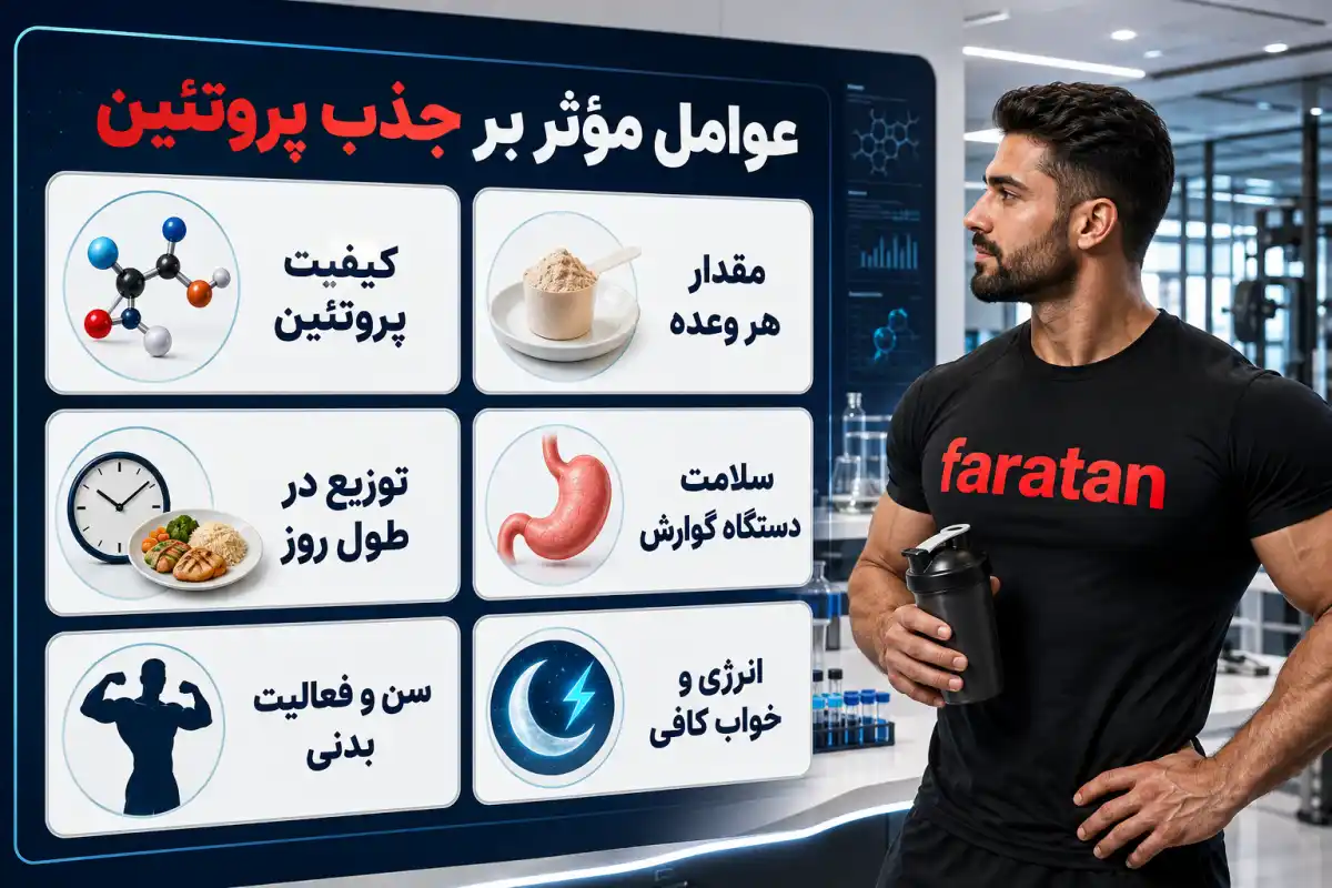 عوامل موثر بر جذب پروتئین-قرص افزایش جذب پروتئین-فراتن