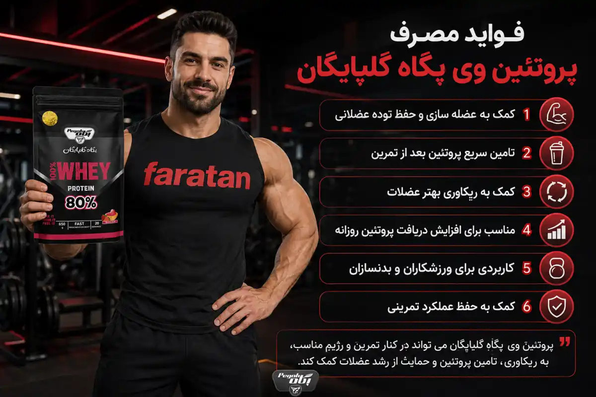 فواید پروتئین وی 80 درصد گلپایگان-وی 80% گلپایگان-فراتن معتبرترین فروشگاه مکمل ورزشی در ایران
